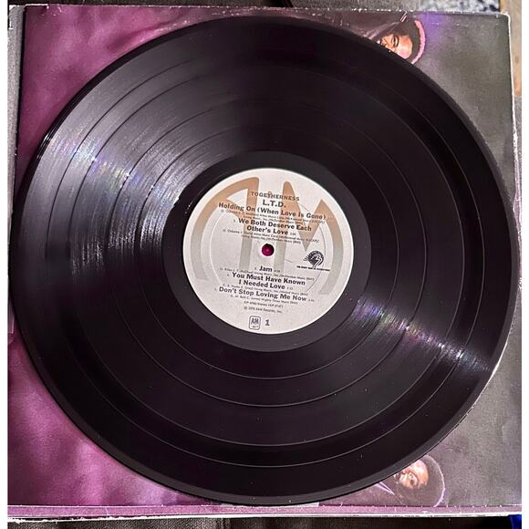 LTD Togetherness LP Vinyl Single Owner - Picture 5 of 5